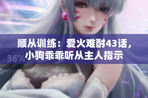 順從訓(xùn)練：愛(ài)火難酎43話，小狗乖乖聽(tīng)從主人指示