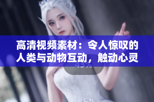 高清視頻素材：令人驚嘆的人類與動物互動，觸動心靈