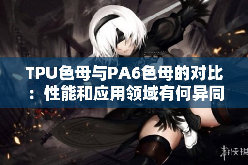 TPU色母與PA6色母的對(duì)比：性能和應(yīng)用領(lǐng)域有何異同？