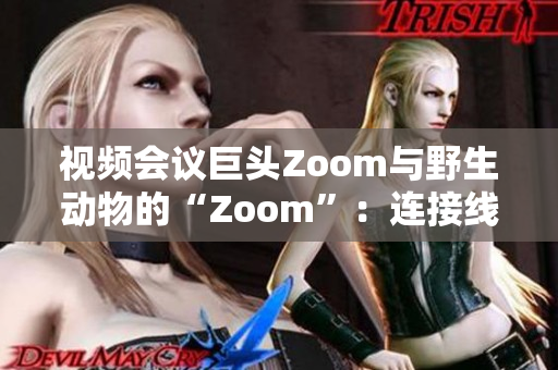 視頻會議巨頭Zoom與野生動物的“Zoom”：連接線上與線下的相遇