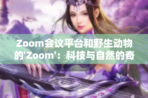 Zoom會(huì)議平臺(tái)和野生動(dòng)物的'Zoom'：科技與自然的奇妙對(duì)話