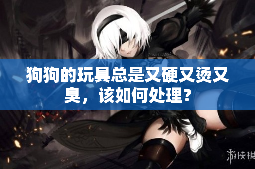 狗狗的玩具總是又硬又燙又臭，該如何處理？