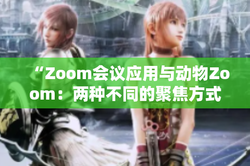 “Zoom會議應(yīng)用與動物Zoom：兩種不同的聚焦方式”