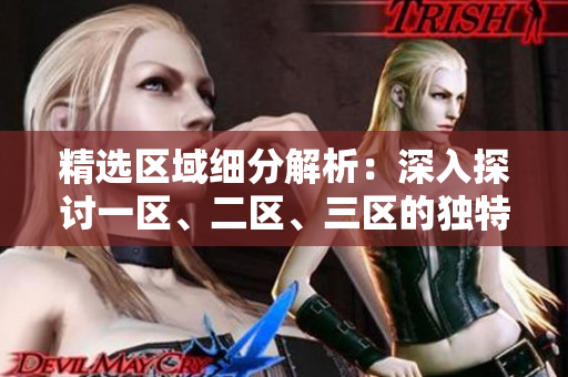 精選區(qū)域細(xì)分解析：深入探討一區(qū)、二區(qū)、三區(qū)的獨(dú)特魅力