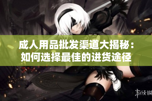 成人用品批發(fā)渠道大揭秘：如何選擇最佳的進貨途徑