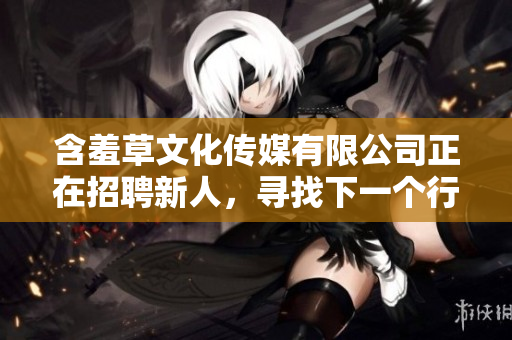 含羞草文化傳媒有限公司正在招聘新人，尋找下一個(gè)行業(yè)領(lǐng)軍人才