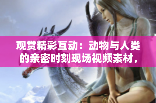 觀賞精彩互動(dòng)：動(dòng)物與人類(lèi)的親密時(shí)刻現(xiàn)場(chǎng)視頻素材，高清下載等你來(lái)！