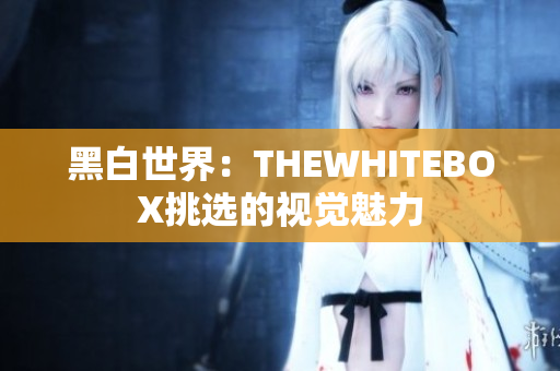 黑白世界：THEWHITEBOX挑選的視覺(jué)魅力