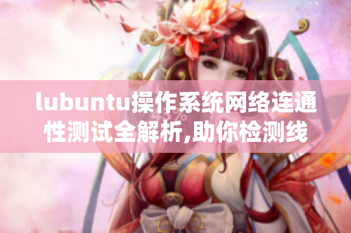 lubuntu操作系統(tǒng)網(wǎng)絡(luò)連通性測試全解析,助你檢測線路穩(wěn)定