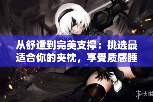從舒適到完美支撐：挑選最適合你的夾枕，享受質(zhì)感睡眠