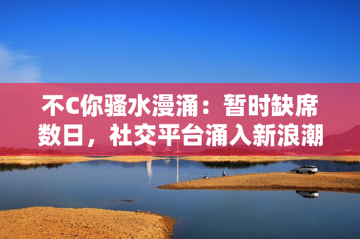 不C你騷水漫涌：暫時(shí)缺席數(shù)日，社交平臺(tái)涌入新浪潮
