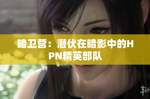 暗衛(wèi)營(yíng)：潛伏在暗影中的HPN精英部隊(duì)