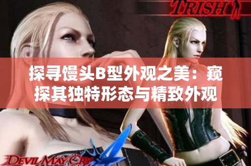 探尋饅頭B型外觀之美：窺探其獨(dú)特形態(tài)與精致外觀