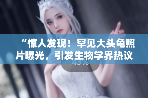 “驚人發(fā)現(xiàn)！罕見(jiàn)大頭龜照片曝光，引發(fā)生物學(xué)界熱議！”