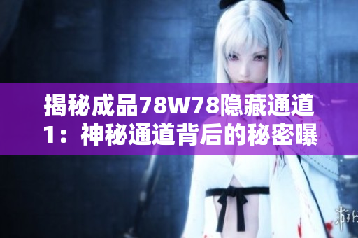 揭秘成品78W78隱藏通道1：神秘通道背后的秘密曝光
