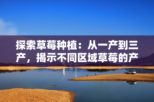 探索草莓種植：從一產(chǎn)到三產(chǎn)，揭示不同區(qū)域草莓的產(chǎn)量與品質(zhì)差異