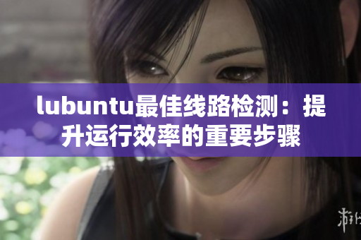 lubuntu最佳線(xiàn)路檢測(cè)：提升運(yùn)行效率的重要步驟