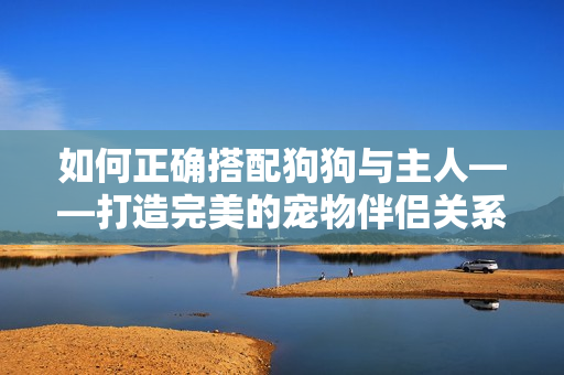 如何正確搭配狗狗與主人——打造完美的寵物伴侶關(guān)系