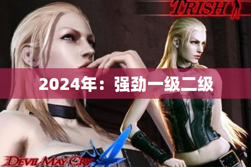 2024年：強(qiáng)勁一級(jí)二級(jí)