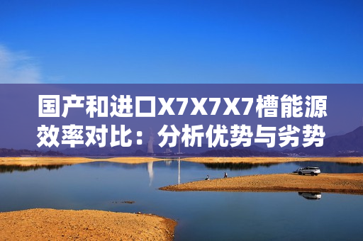 國產(chǎn)和進(jìn)口X7X7X7槽能源效率對比：分析優(yōu)勢與劣勢