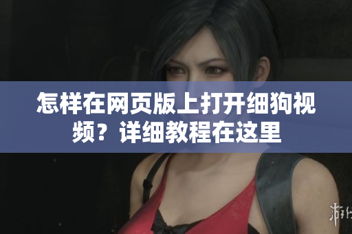 怎樣在網(wǎng)頁版上打開細狗視頻？詳細教程在這里