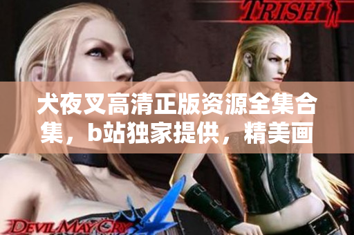 犬夜叉高清正版資源全集合集，b站獨家提供，精美畫質(zhì)帶你重溫經(jīng)典。