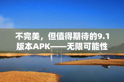 不完美，但值得期待的9.1版本APK——無限可能性
