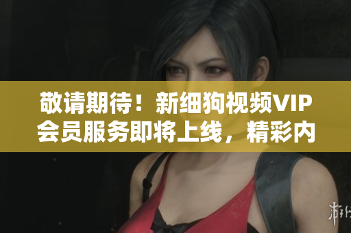敬請(qǐng)期待！新細(xì)狗視頻VIP會(huì)員服務(wù)即將上線，精彩內(nèi)容盡收眼底