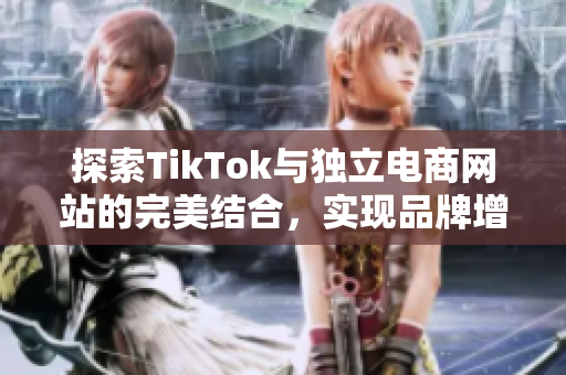 探索TikTok與獨立電商網(wǎng)站的完美結(jié)合，實現(xiàn)品牌增長新機遇