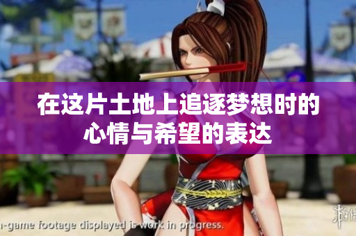 在這片土地上追逐夢想時的心情與希望的表達(dá)