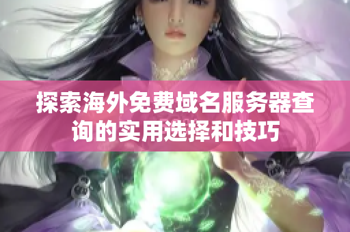 探索海外免費域名服務(wù)器查詢的實用選擇和技巧