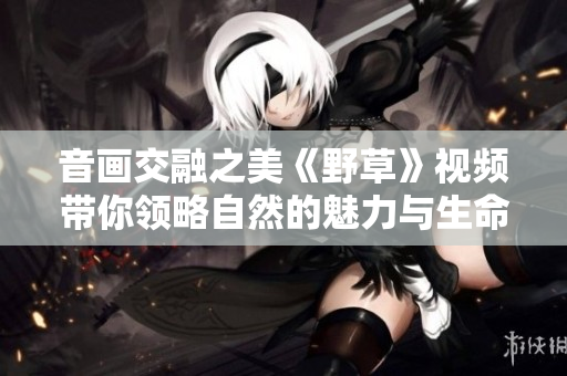 音畫交融之美《野草》視頻帶你領(lǐng)略自然的魅力與生命的力量