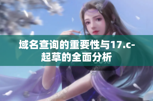 域名查詢的重要性與17.c-起草的全面分析