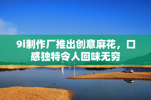 9i制作廠推出創(chuàng)意麻花，口感獨特令人回味無窮