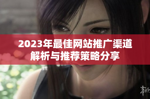 2023年最佳網(wǎng)站推廣渠道解析與推薦策略分享