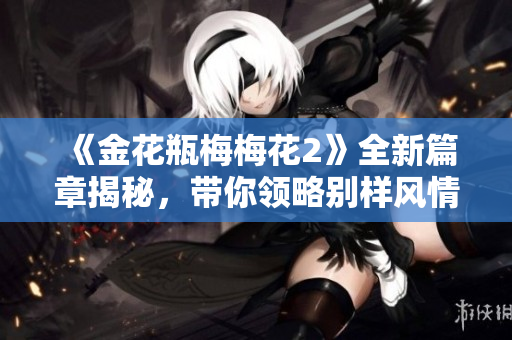 《金花瓶梅梅花2》全新篇章揭秘，帶你領略別樣風情與動人故事