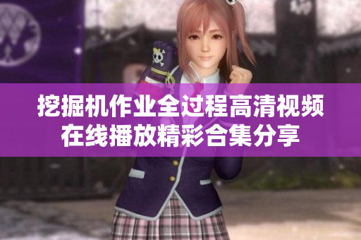 挖掘機作業(yè)全過程高清視頻在線播放精彩合集分享