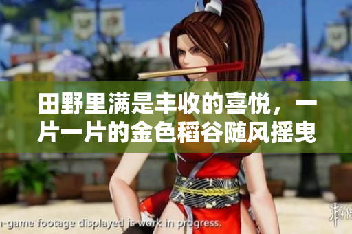 田野里滿(mǎn)是豐收的喜悅，一片一片的金色稻谷隨風(fēng)搖曳