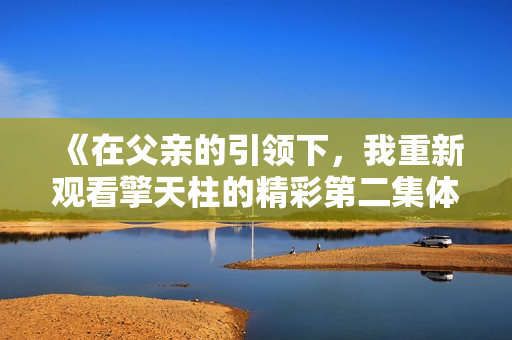 《在父親的引領(lǐng)下，我重新觀看擎天柱的精彩第二集體驗(yàn)》