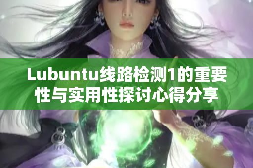 Lubuntu線路檢測(cè)1的重要性與實(shí)用性探討心得分享