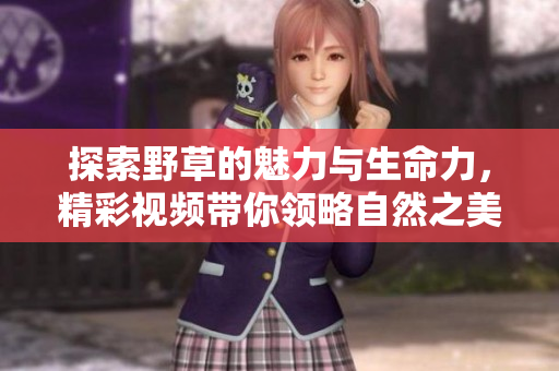 探索野草的魅力與生命力，精彩視頻帶你領(lǐng)略自然之美